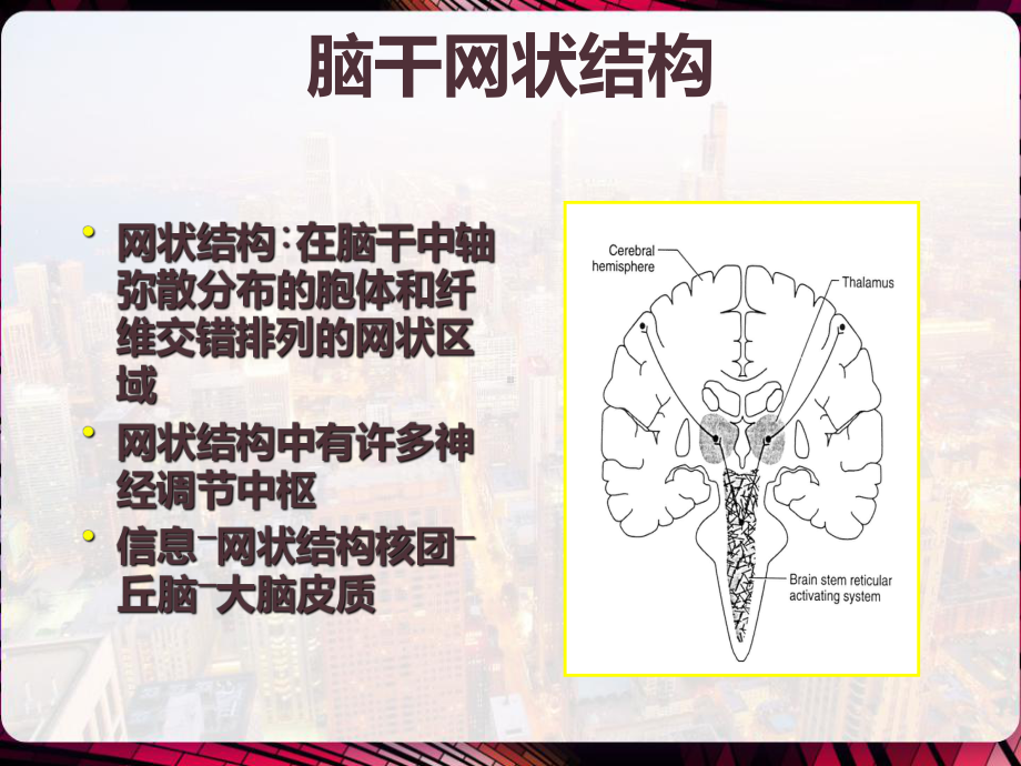 神经系统疾病常见症状-课件.pptx_第2页