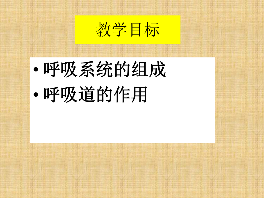 第三章第一节呼吸道对空气的处理课件.ppt_第3页