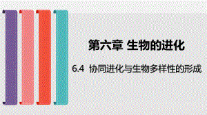 (新教材)协同进化与生物多样性的形成教学课件人教版1.pptx