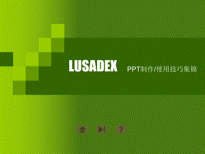 LUSADEX制作使用技巧集锦课件.ppt