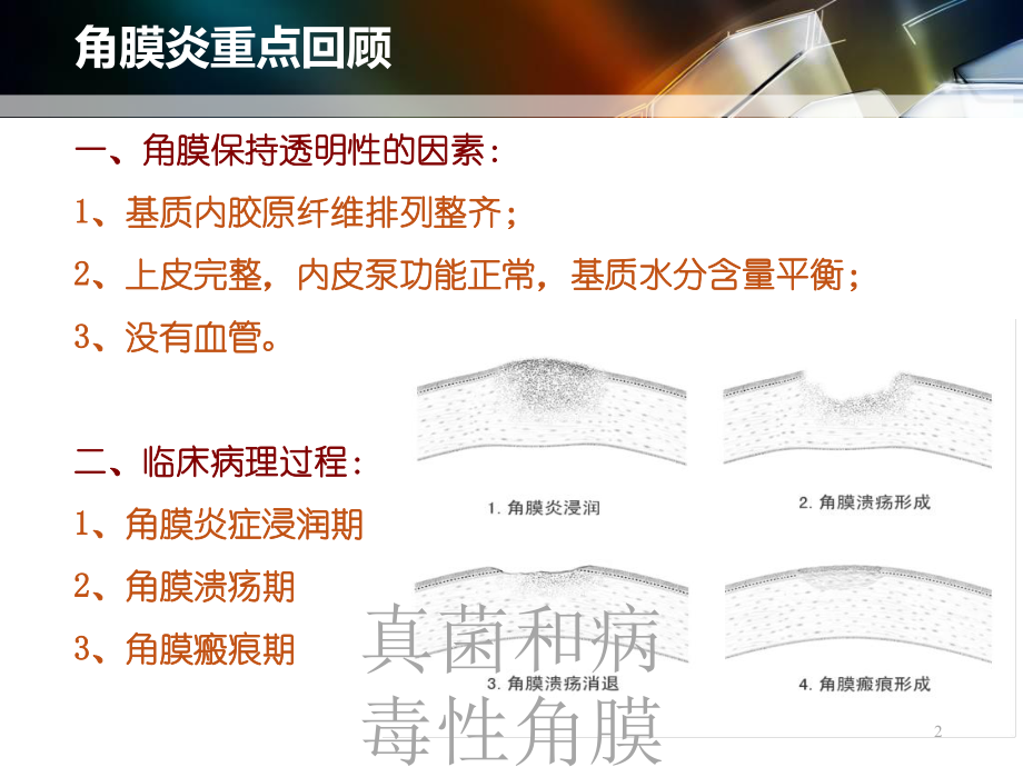 真菌和病毒性角膜炎培训课件.ppt_第2页