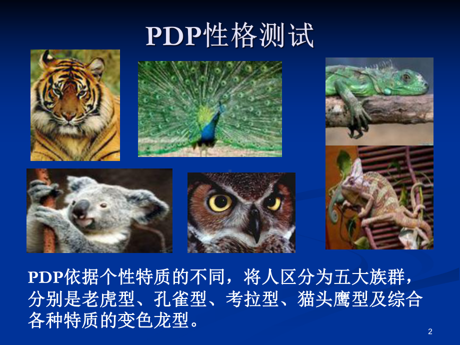 PDP性格测试解析课件.ppt_第2页