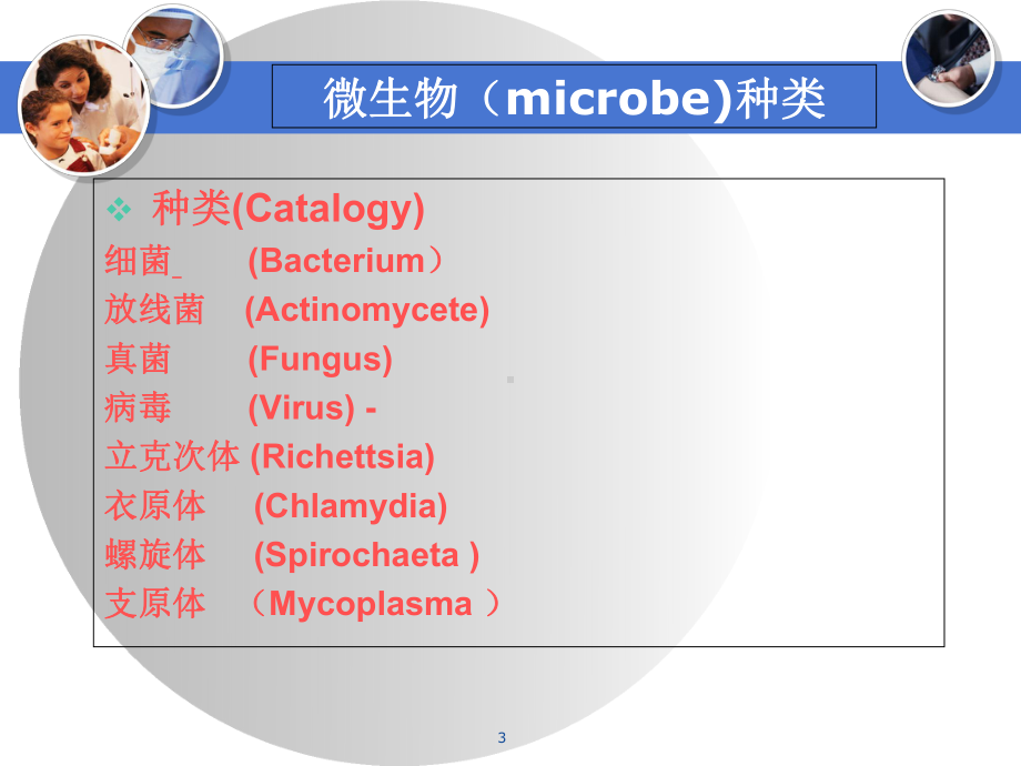 真菌感染的基础和临床医学课件.ppt_第3页