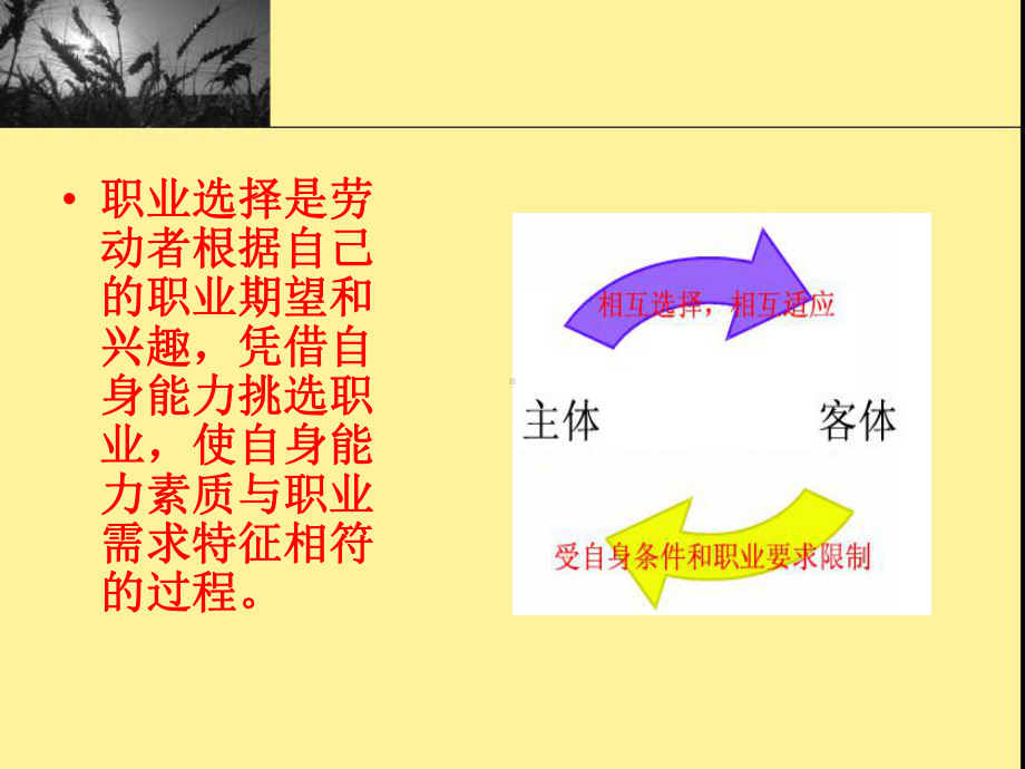 职业选择理论课件.ppt_第3页