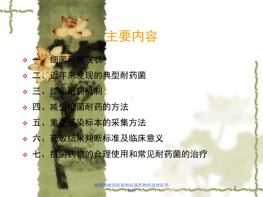 细菌的耐药机制和抗菌药物的选择医学知识培训课件.ppt_第2页