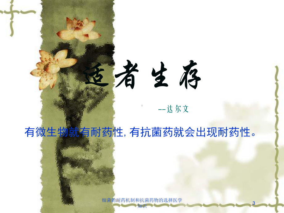 细菌的耐药机制和抗菌药物的选择医学知识培训课件.ppt_第3页