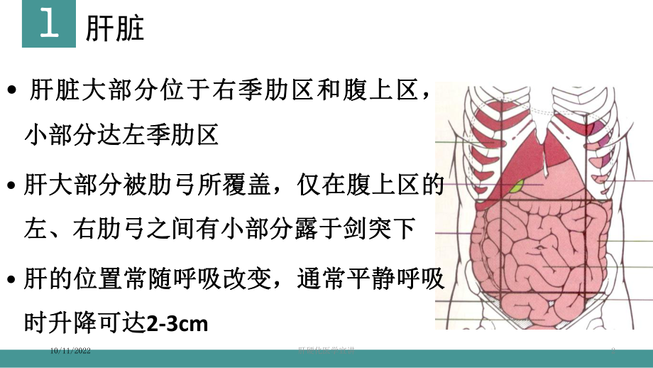 肝硬化医学宣讲培训课件.ppt_第2页