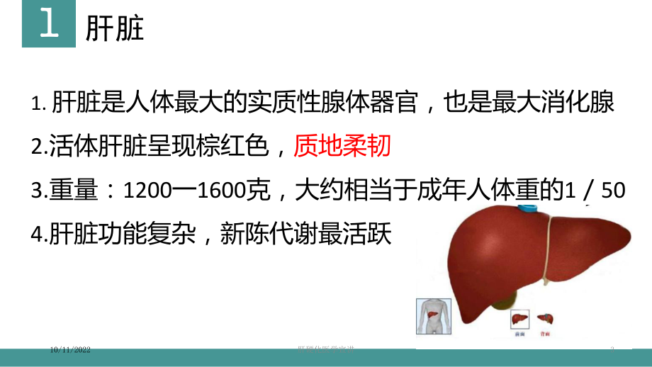 肝硬化医学宣讲培训课件.ppt_第3页