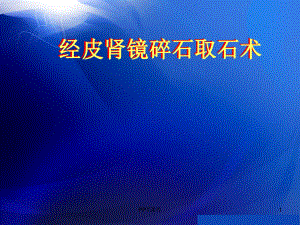 经皮肾镜碎石取石术-课件.ppt