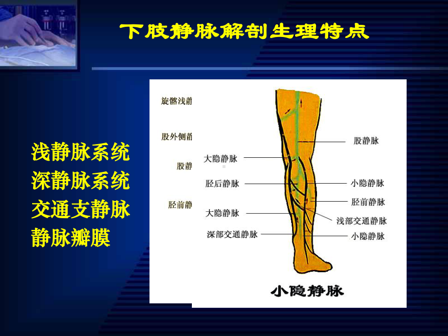 第十八章周围血管疾病病人的护理课件2.ppt_第3页