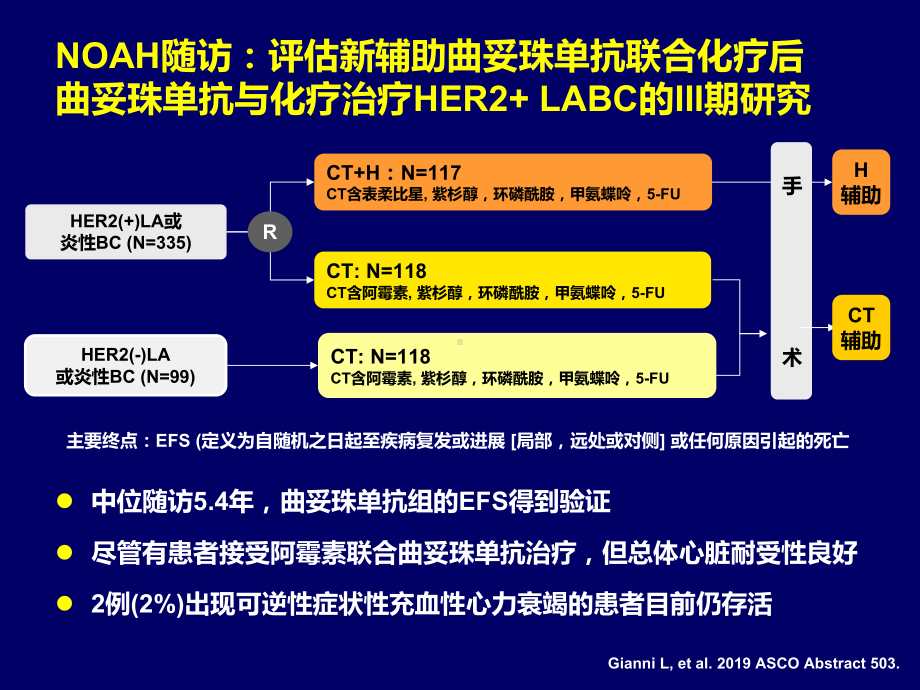 asco进展her阳性bc相关课件.ppt_第1页