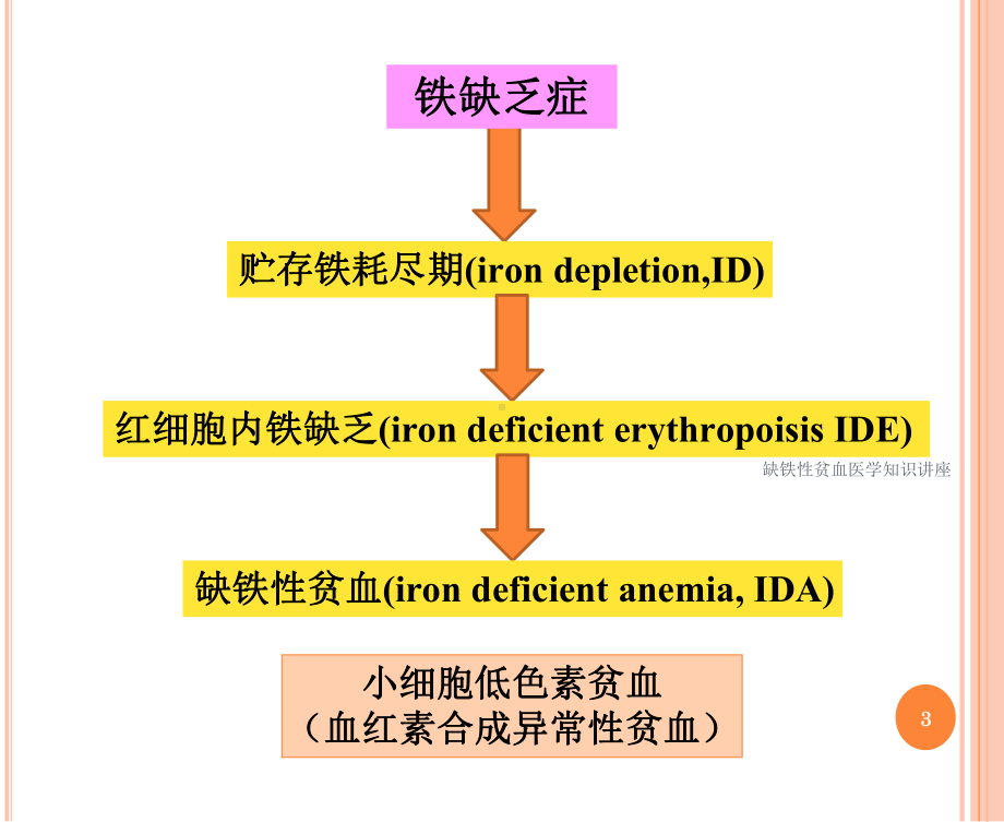 缺铁性贫血医学知识讲座培训课件.ppt_第3页