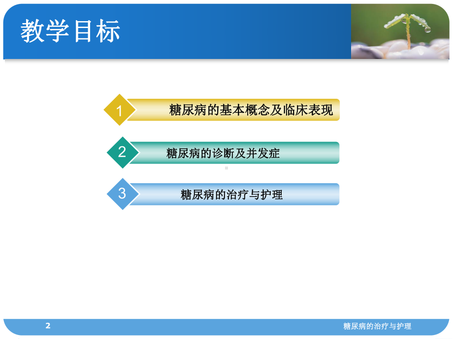 糖尿病的治疗与护理课件.ppt_第2页