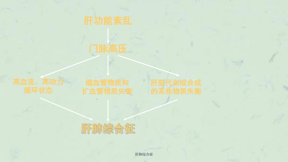 肝肺综合症课件.ppt_第3页