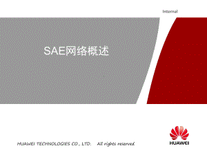 SAE网络概述(课件).ppt