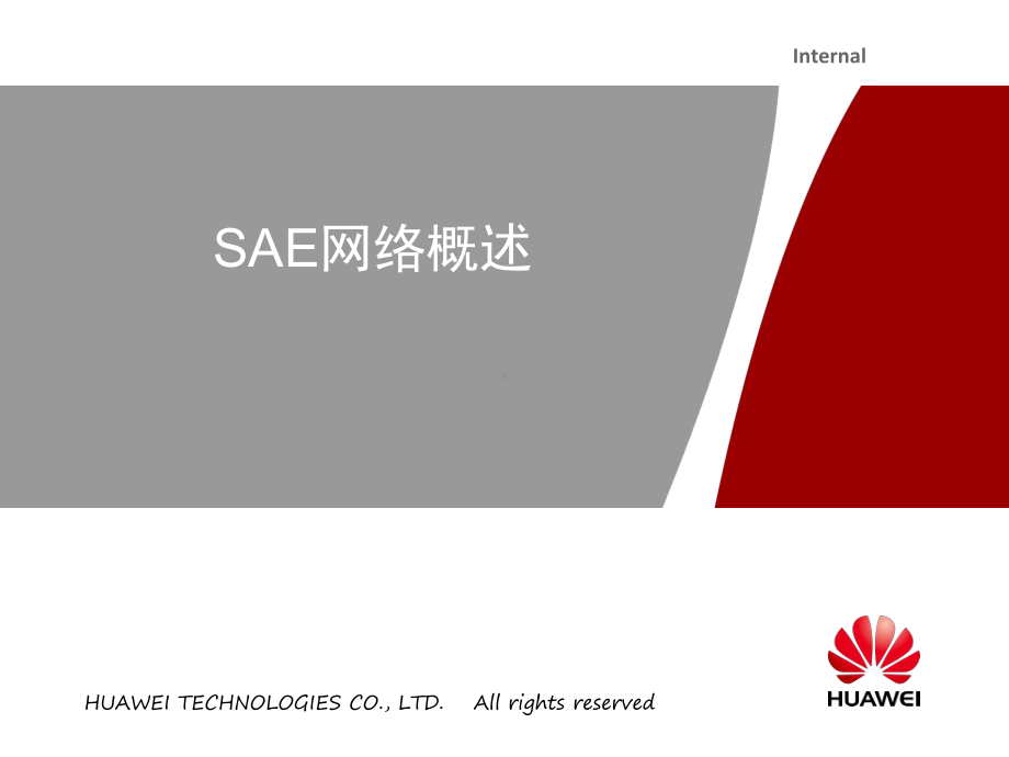 SAE网络概述(课件).ppt_第1页