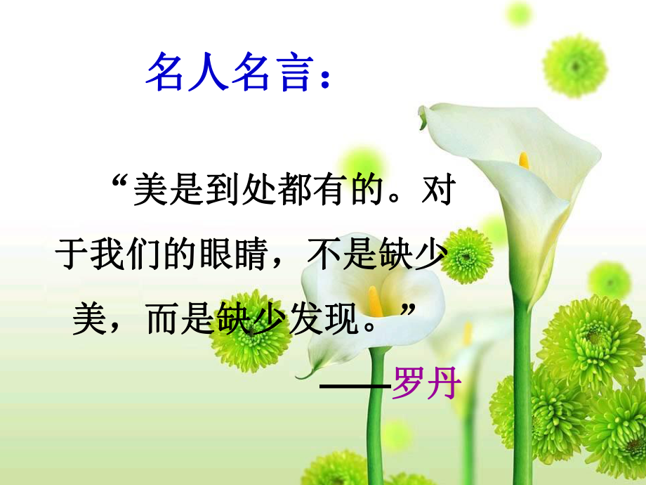 《全神贯注》终极版教学课件.ppt_第1页