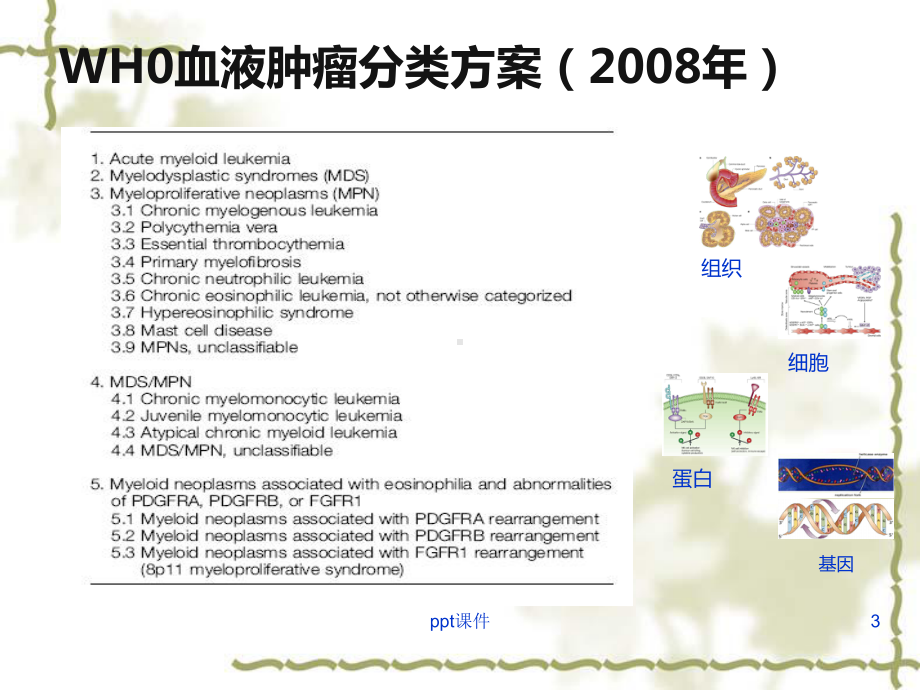 白血病基因筛查-课件.ppt_第3页