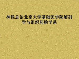 神经总论某大学基础医学院解剖学与组织胚胎学系课件.ppt