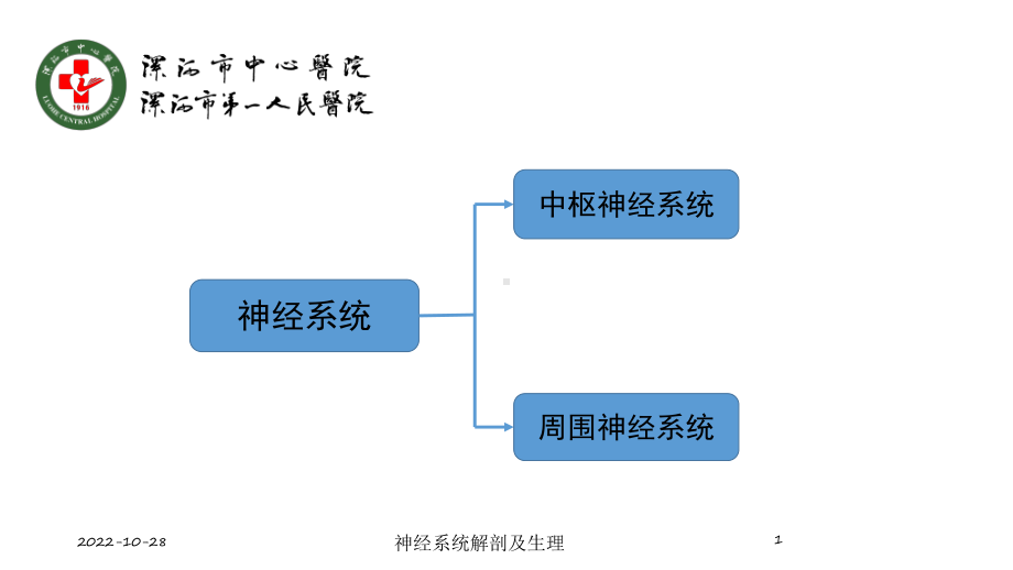 神经系统解剖及生理培训课件.ppt_第1页