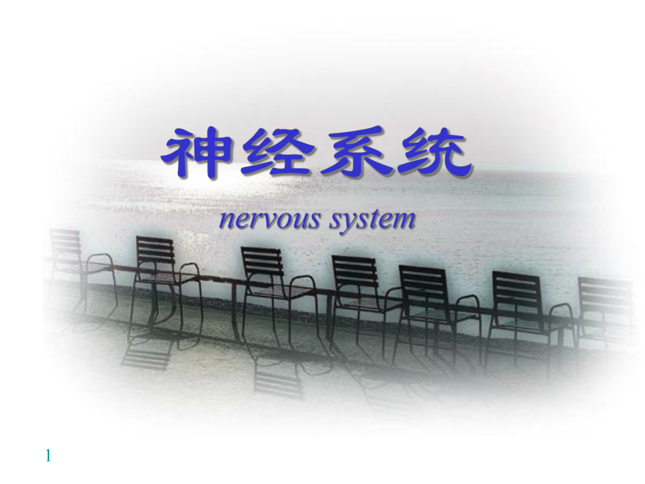 神经系统-nervous-system-课件.ppt_第1页