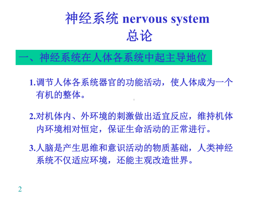 神经系统-nervous-system-课件.ppt_第2页