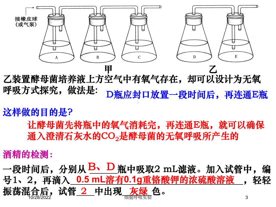 细胞呼吸实验培训课件.ppt_第3页