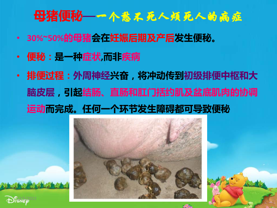 破解母猪便秘概述课件.ppt_第1页