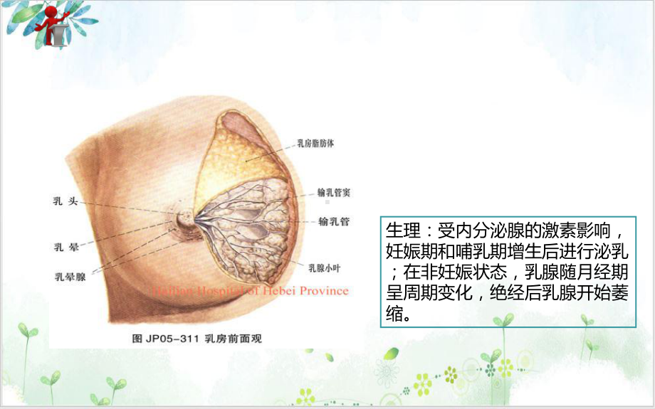 第十二章第一节急性乳腺炎培训课件.ppt_第3页