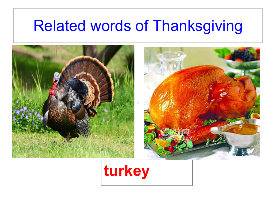 thanksgiving-day--上课最初讲稿-解析课件.ppt_第2页