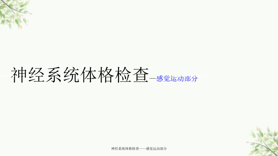 神经系统体格检查-感觉运动部分课件.ppt_第1页