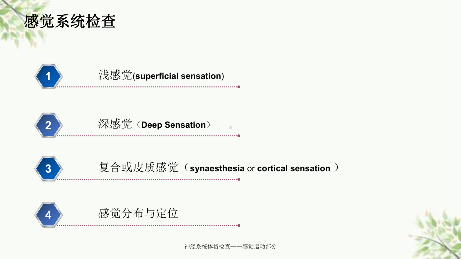 神经系统体格检查-感觉运动部分课件.ppt_第2页