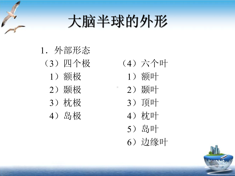 神经系统的解剖生理及定位诊断示范课件.ppt_第3页