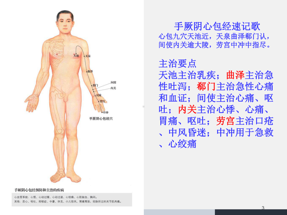 经络及穴位课件.ppt_第3页