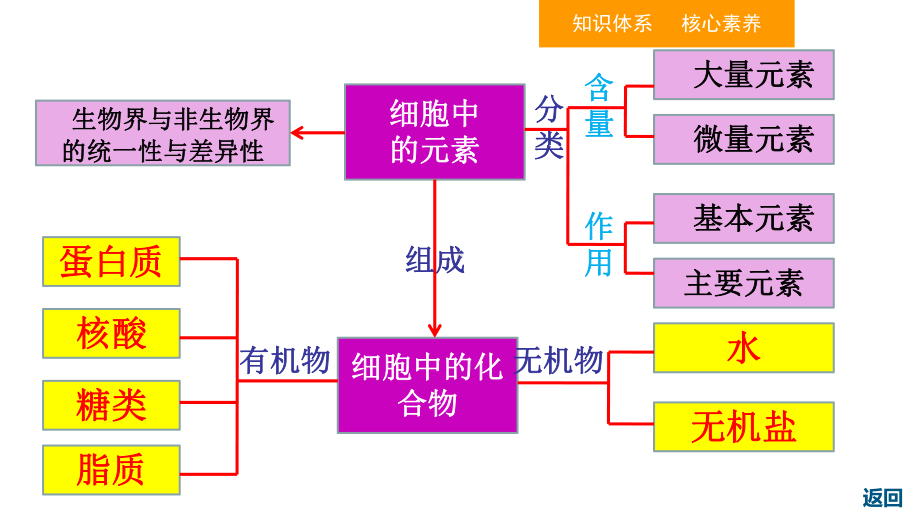 (新教材)细胞中的元素和化合物教学课件人教版1.ppt_第2页