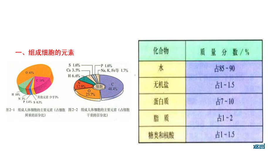 (新教材)细胞中的元素和化合物教学课件人教版1.ppt_第3页