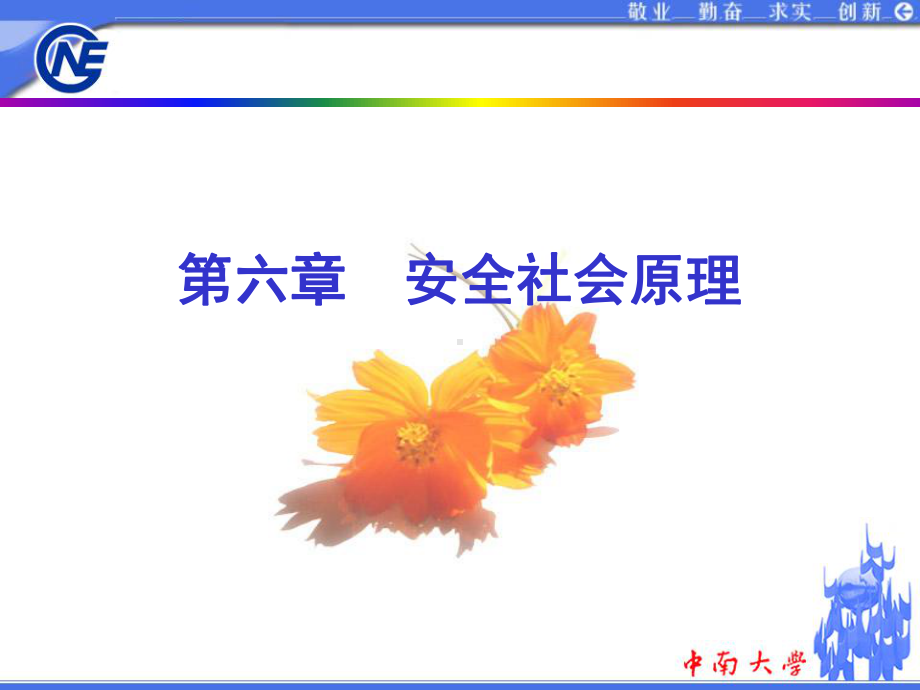 六章安全社会原理课件.ppt_第2页