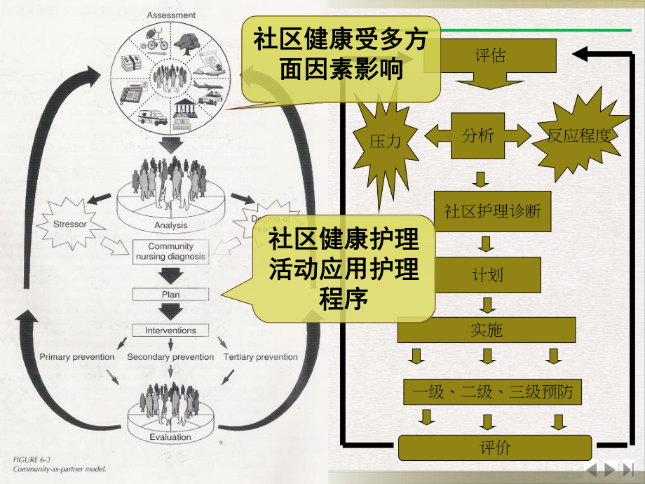 社区护理完整版课件.pptx_第2页