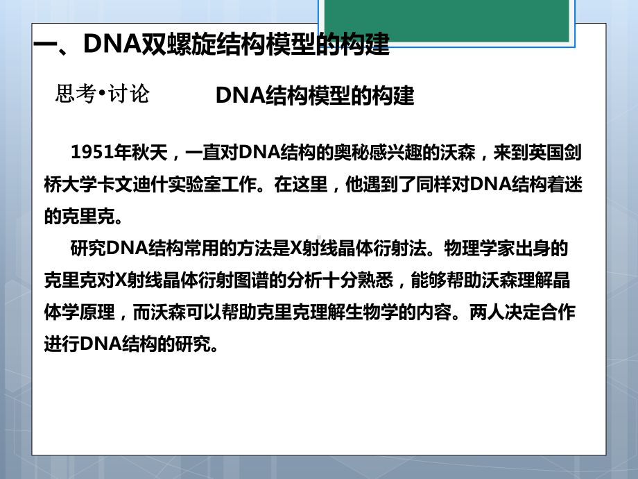 (新教材)高中生物《DNA的结构》课件人教版2.ppt_第3页