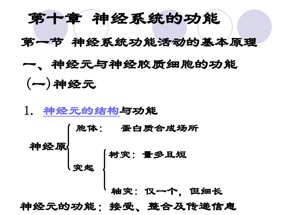 神经系统的功能-课件-.ppt_第1页