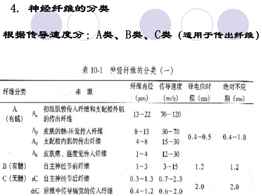 神经系统的功能-课件-.ppt_第3页