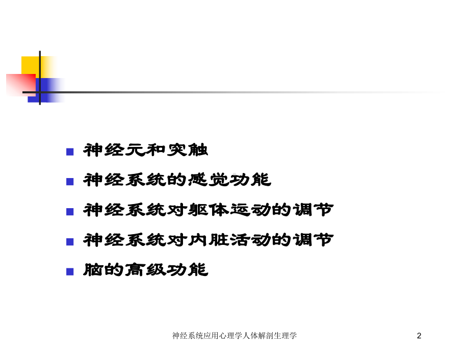 神经系统应用心理学人体解剖生理学培训课件.ppt_第2页