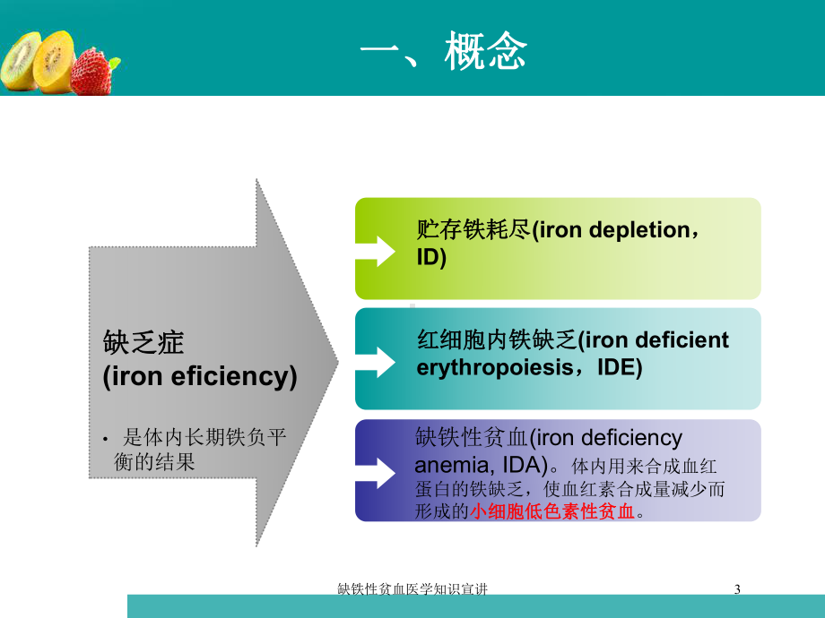 缺铁性贫血医学知识宣讲培训课件.ppt_第3页