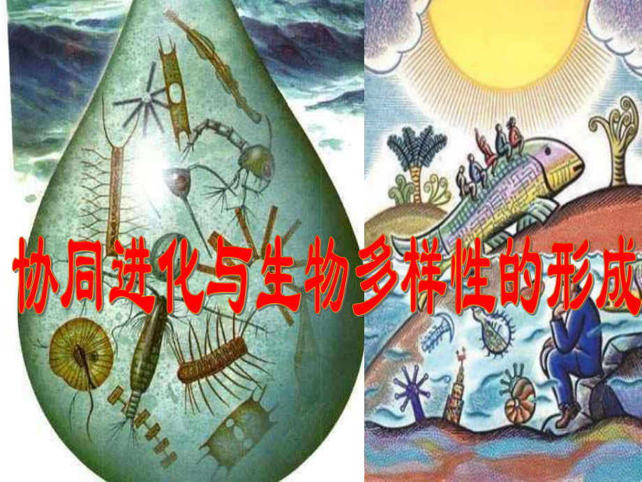 (新教材)高中生物《协同进化与生物多样性的形成》公开课课人教版件1课件.pptx_第1页