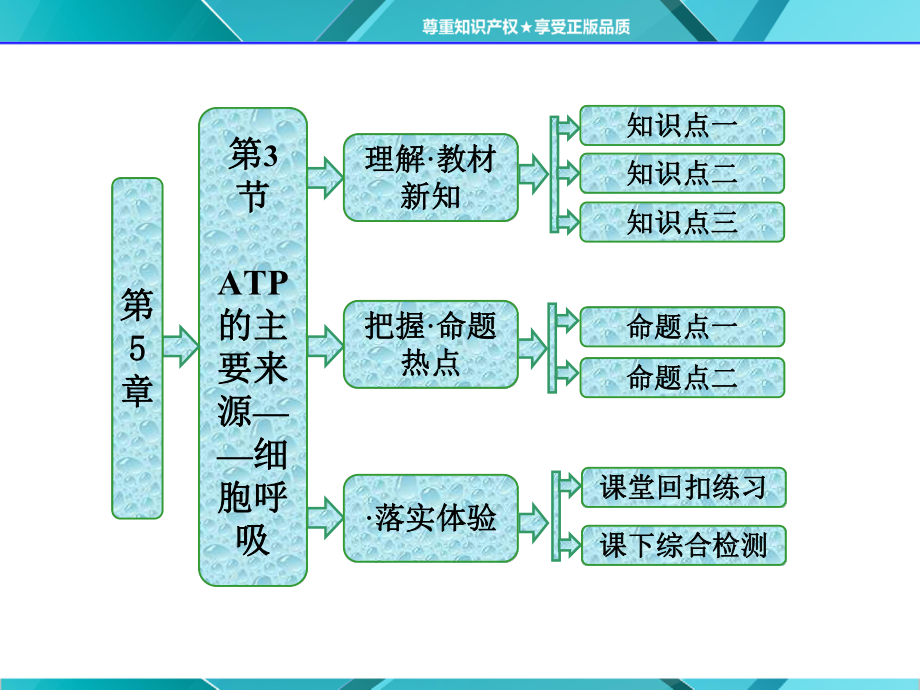 第1部分第5章第3节ATP的主要来源-细胞呼吸课件.pptx_第1页