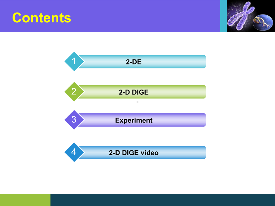 DDIGE(荧光差异双向电泳)总结课件.ppt_第2页