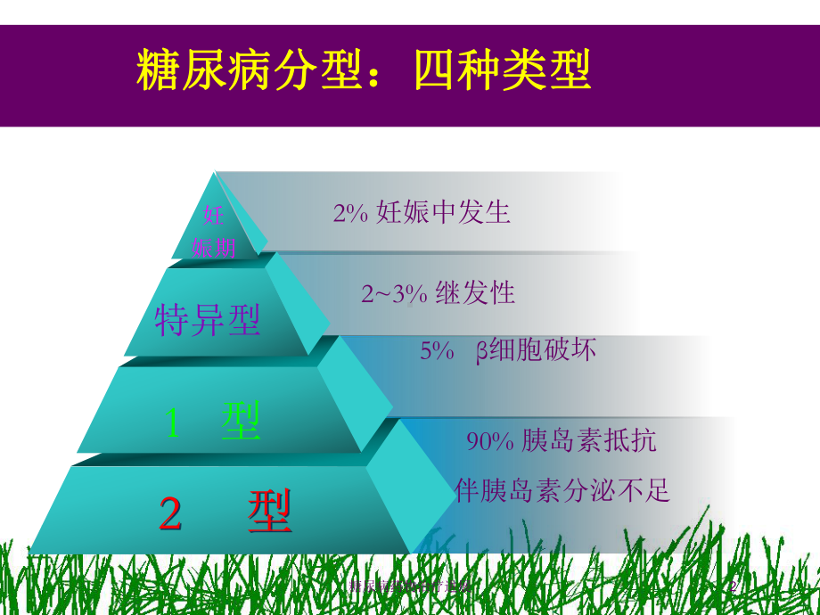 糖尿病药物治疗进展培训课件.ppt_第2页