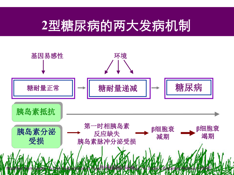 糖尿病药物治疗进展培训课件.ppt_第3页