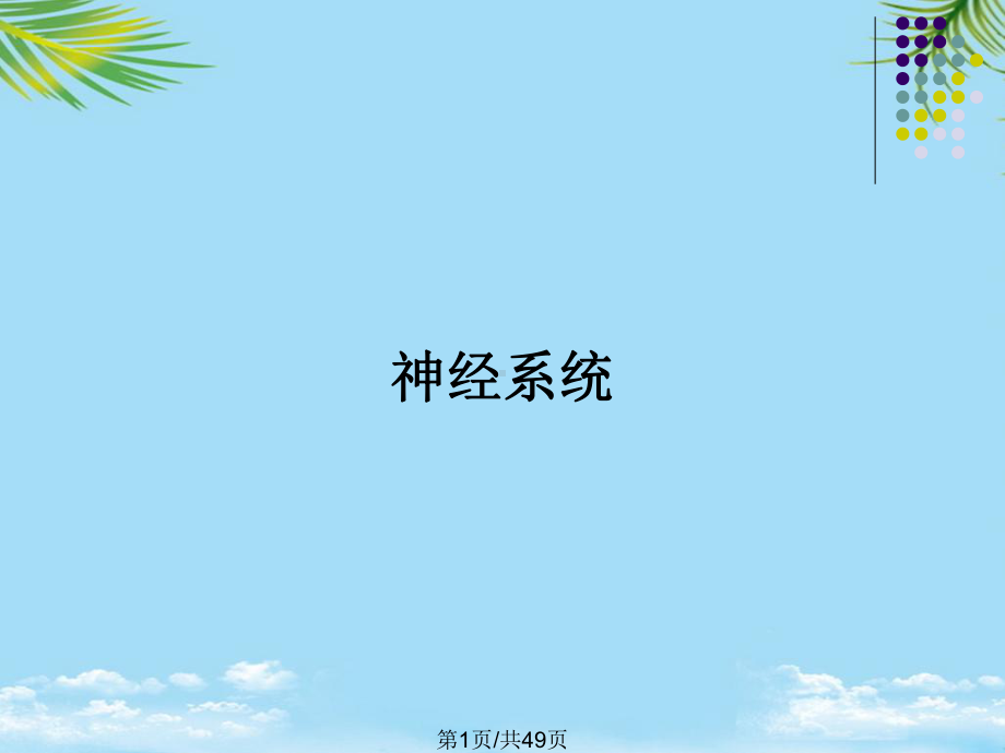 神经系统全面版课件.pptx_第1页