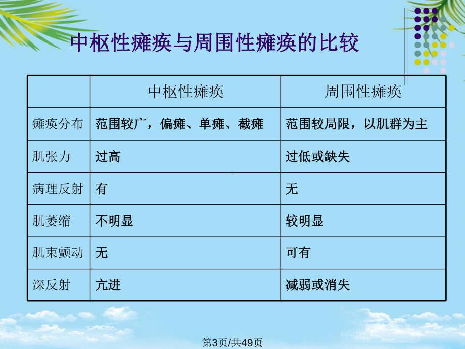 神经系统全面版课件.pptx_第3页